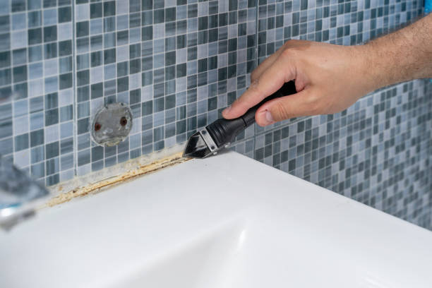 Best Emergency Mold Remediation in Ranson, WV